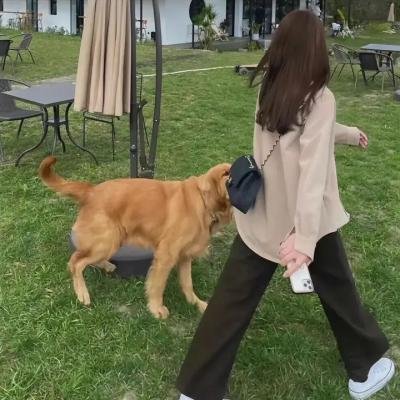 鬼魂的传讯